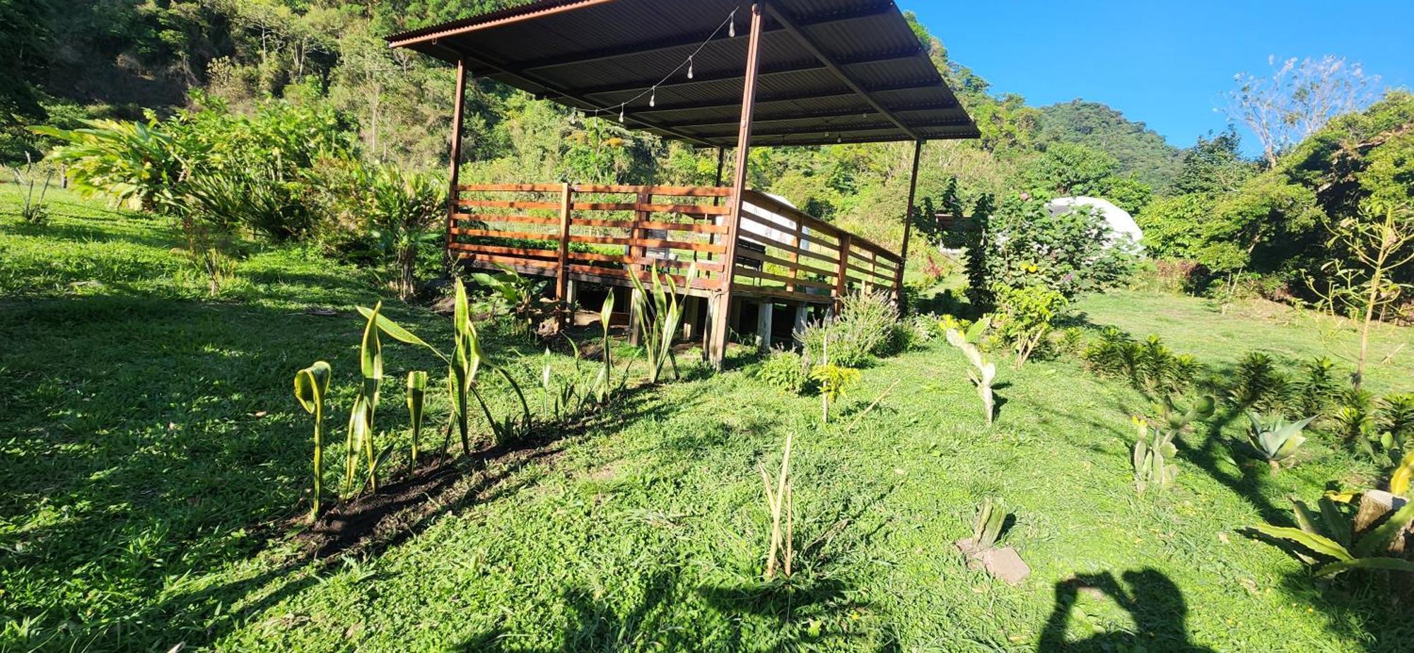 Glamping Monteverde Kültér fotó