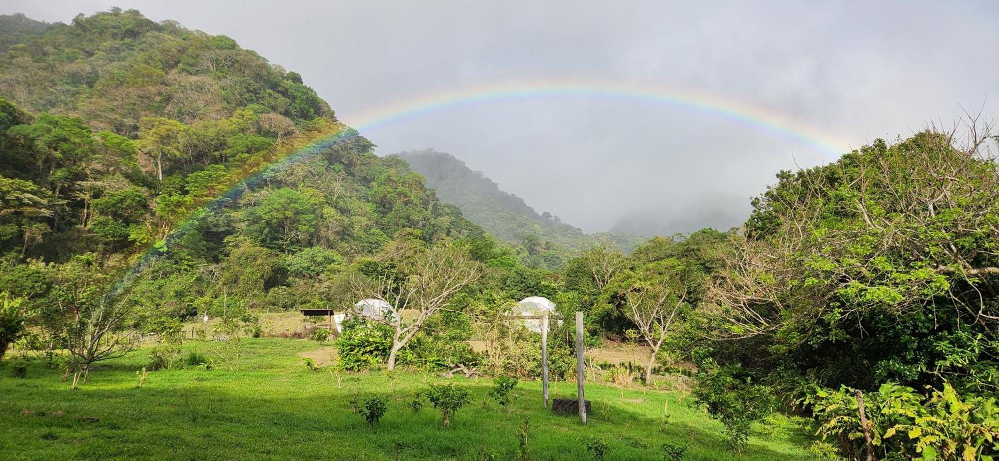 Glamping Monteverde Kültér fotó