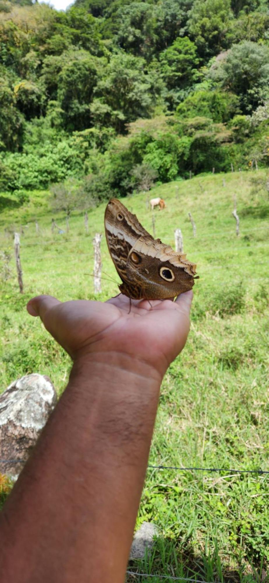 Glamping Monteverde Kültér fotó