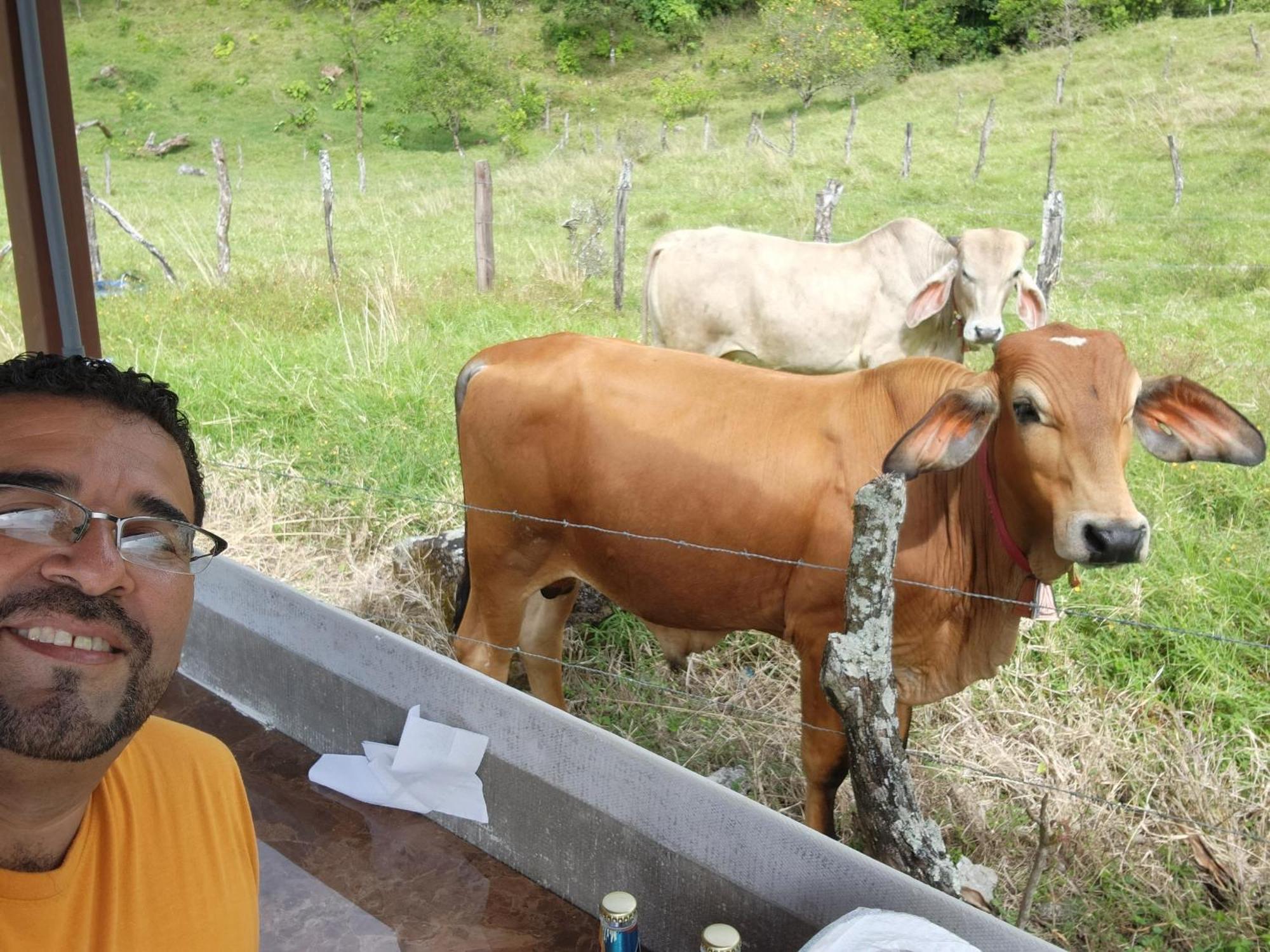 Glamping Monteverde Kültér fotó