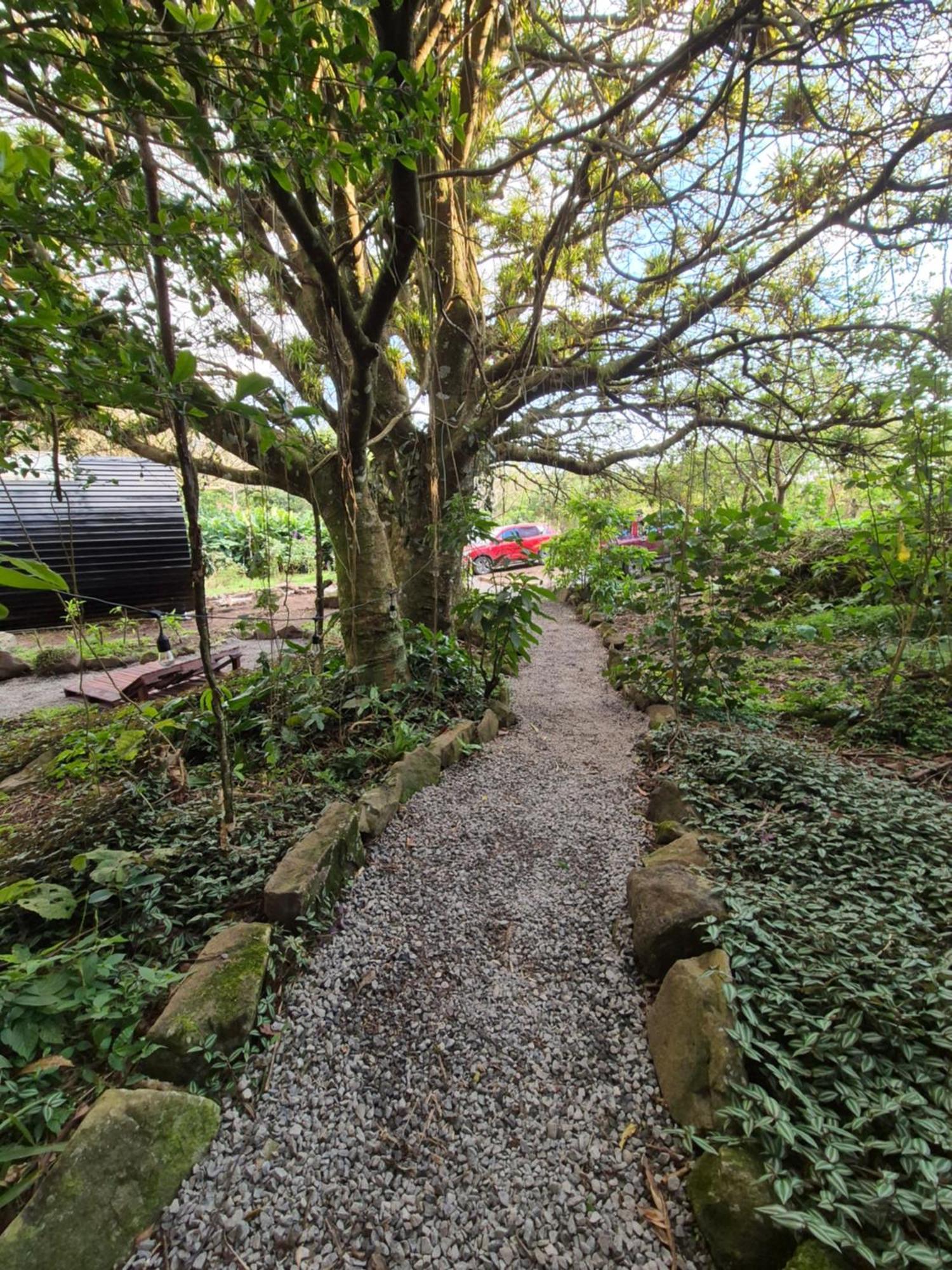 Glamping Monteverde Kültér fotó