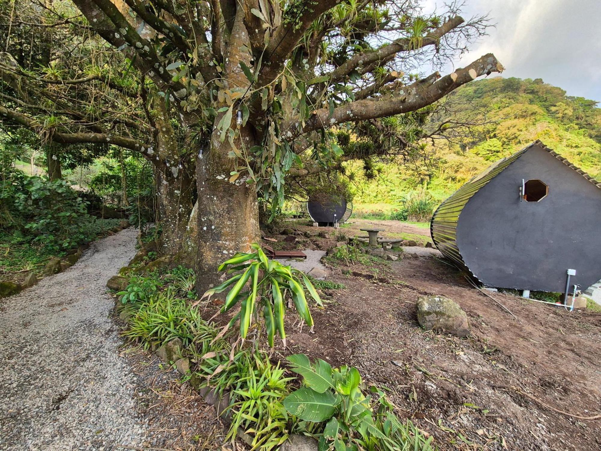 Glamping Monteverde Kültér fotó
